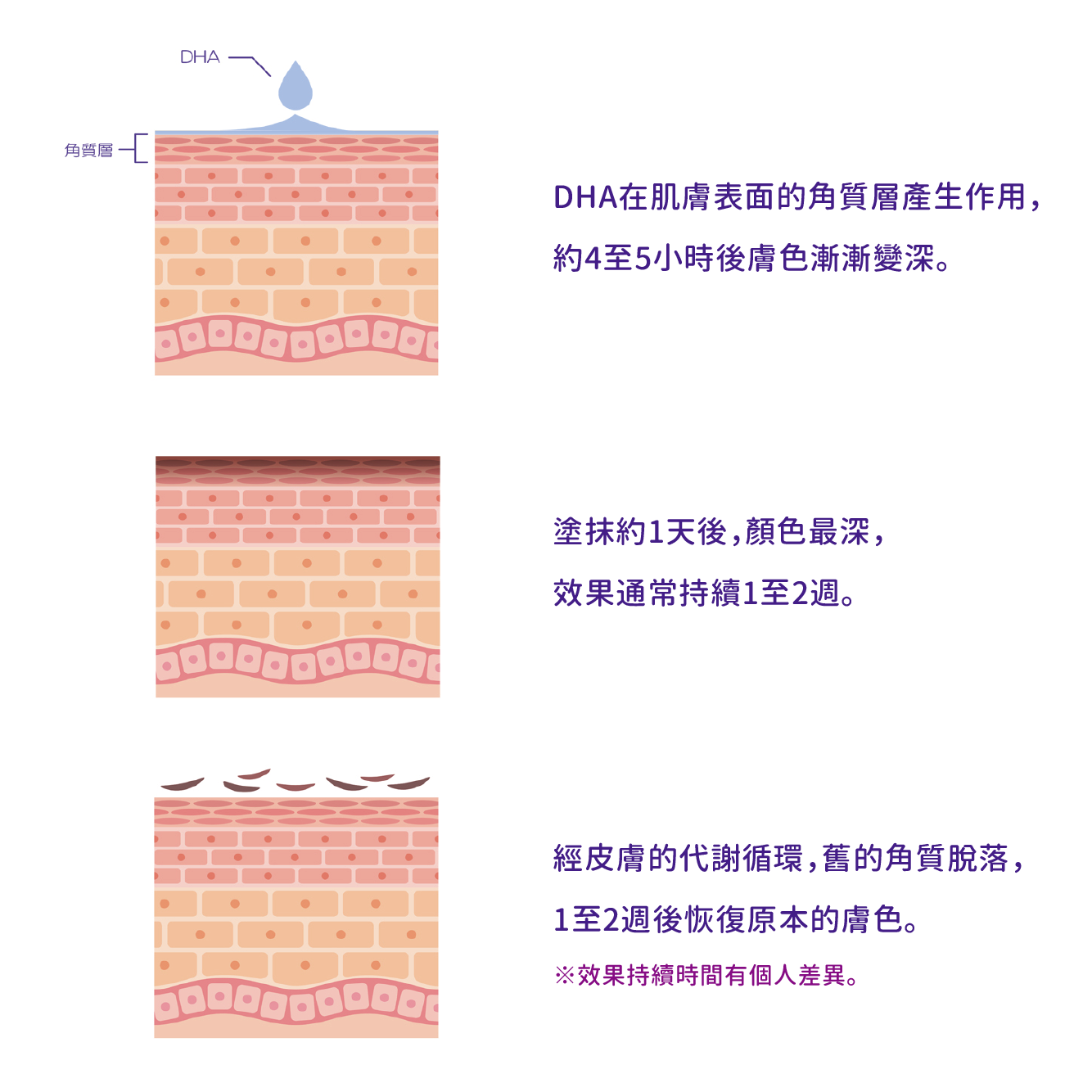 JBBF(日本健美總會)推薦 NURBS